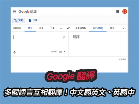 帶土 英文|Google 翻譯